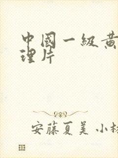 中国一级黄色伦理片