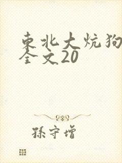 东北大炕狗儿娘全文20