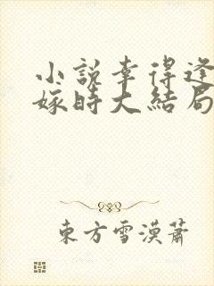 小说幸得逢卿未嫁时大结局