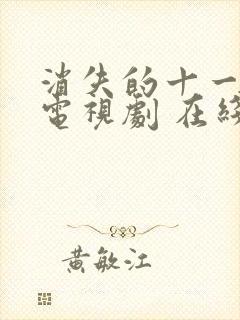 消失的十一层 电视剧 在线观看