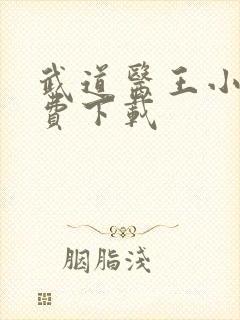 武道医王小说免费下载