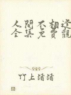 人间不相逢短剧全集免费观看