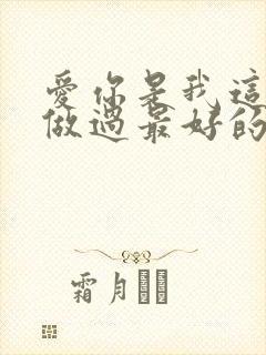 爱你是我这辈子做过最好的事封面