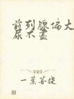 前列腺偏大尿频尿不尽