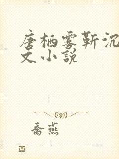 唐栖雾靳沉野全文小说封面