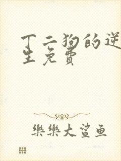 丁二狗的逆袭人生免费