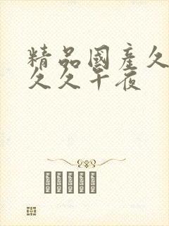 精品国产久久久久久午夜