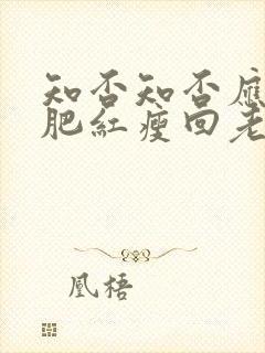 知否知否应是绿肥红瘦回老家是第几集封面