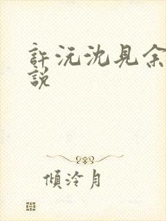 许沅沈见余的小说