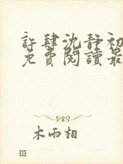 许肆沈静初全文免费阅读最新章节