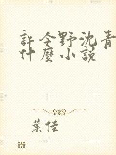 许今野沈青棠是什么小说封面