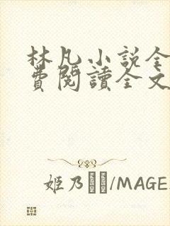 林凡小说全文免费阅读全文封面