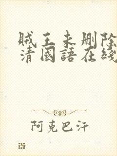 贼王未删除版高清国语在线观看