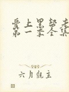 爱上黑帮老大的第一季全集免费观看下载