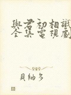 与君初相识免费全集电视剧