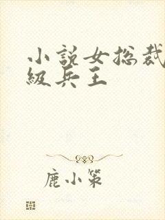 小说女总裁的超级兵王封面