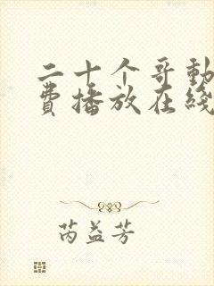 二十个哥动漫免费播放在线观看