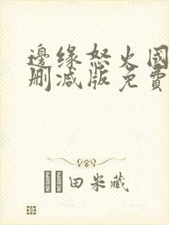 边缘怒火国语未删减版免费播放