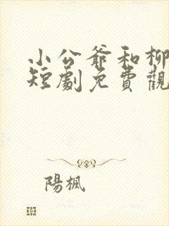 小公爷和柳如意短剧免费观看