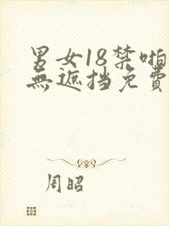 男女18禁啪啪无遮挡免费