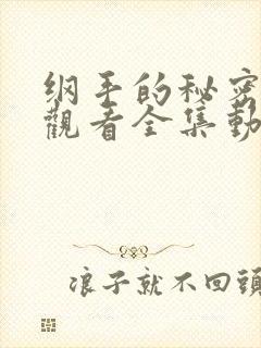 纲手的秘密免费观看全集动漫版