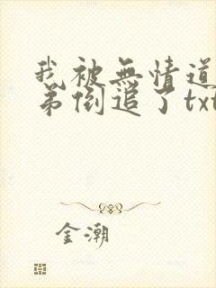 我被无情道小师弟倒追了txt封面