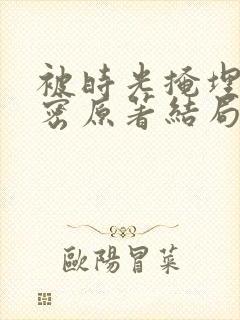 被时光掩埋的秘密原著结局封面