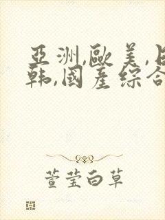 亚洲,欧美,日韩,国产综合