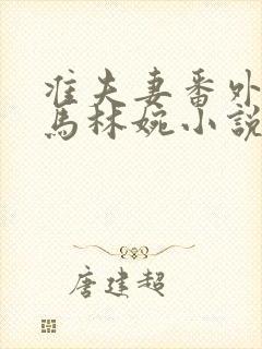 准夫妻番外续老马林婉小说最新章节封面