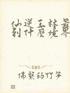 仙逆王林最终达到什么境界