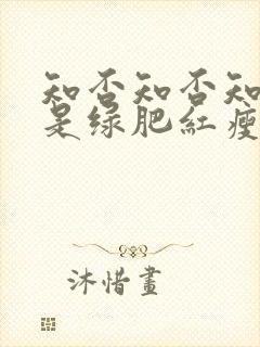 知否知否知否应是绿肥红瘦哪个季节