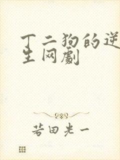 丁二狗的逆袭人生网剧封面