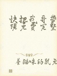 快把我哥带走电视免费完整