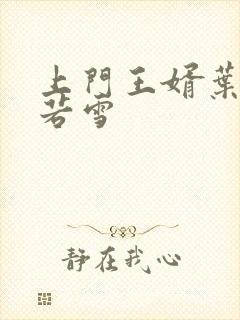 上门王婿叶凡唐若雪