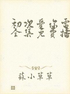 初次爱你电视剧全集免费播放