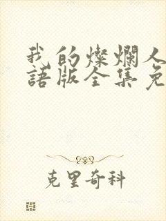 我的灿烂人生国语版全集免费观看