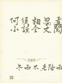 何须相思煮余年小说全文阅读免费