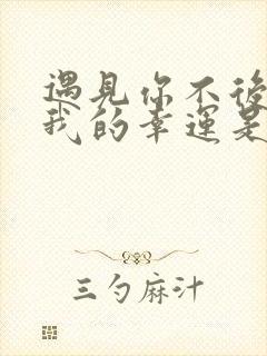 遇见你不后悔是我的幸运是什么歌