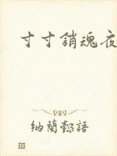 寸寸销魂夜春光