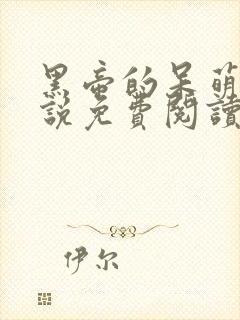 黑帝的呆萌妻小说免费阅读