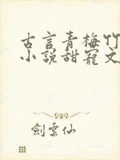 古言青梅竹马的小说甜宠文