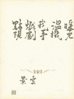 点燃我温暖你电视剧手机免费观看