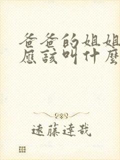 爸爸的姐姐老公应该叫什么