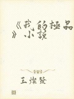 《我的极品小姨》小说