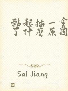 勃起插一会就软了什么原因