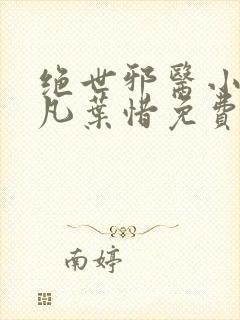 绝世邪医小说林凡叶惜免费阅读全文