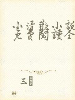 小清欢小说全文免费阅读全文