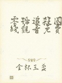 零号追杀国语在线观看免费完整版中文