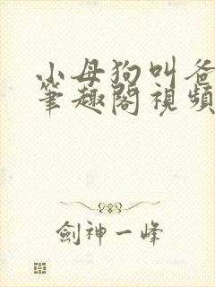 小母狗叫爸爸乖笔趣阁视频