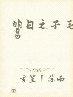 明日之子 毛不易